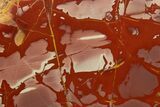 Polished Noreena Jasper Section - Australia #317896-2